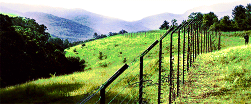 tumblr_nx6dchnhss1uxb9ydo1_500